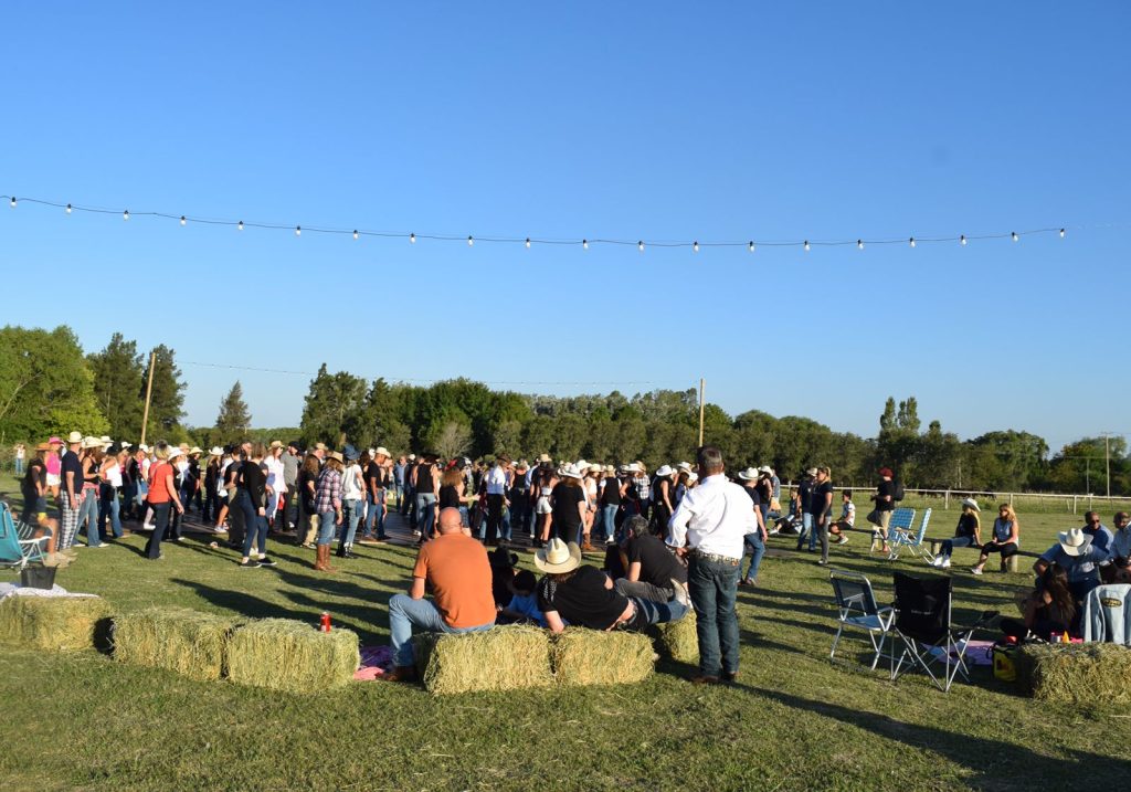 Galería – Magical Ranch